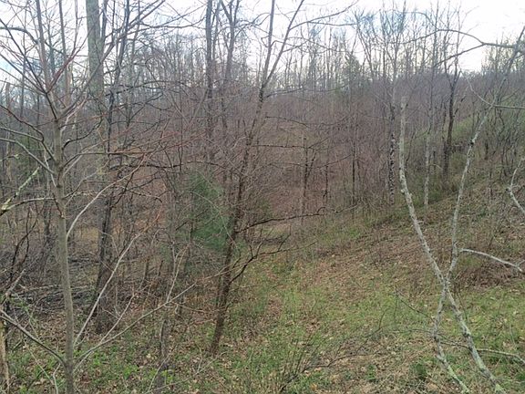 4th image of 00 Kodiak Ln