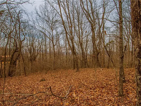 0 Long Mountain Rd, Cleveland, GA 30528