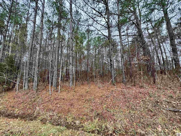 0 Friend Ln #11 & 12, Hardin, KY 42048