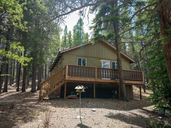 4901 County Road 1, Alma, CO 80420