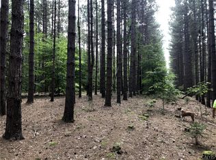 0 Dog Hill Rd #36, Maryland, NY 12116