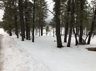 LOT 2 Apache County Road 2271 LOT 2, Alpine, AZ 85920