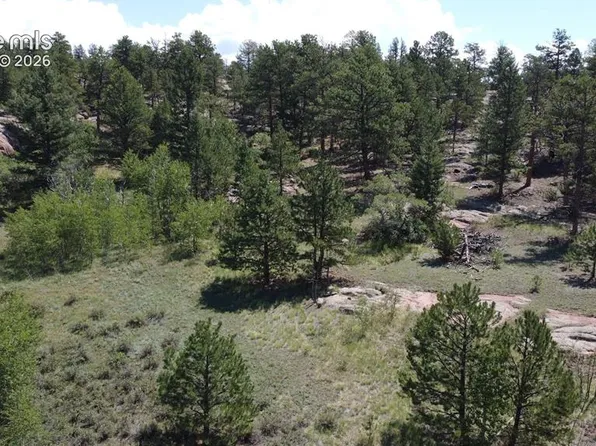 204 Pike View Ln, Florissant, CO 80816