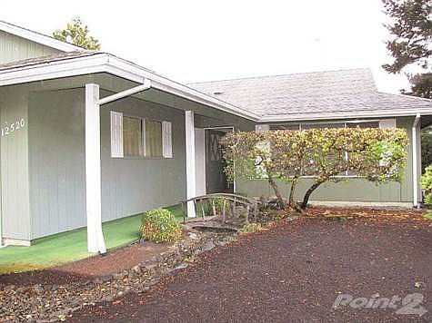 Low maintenance yard