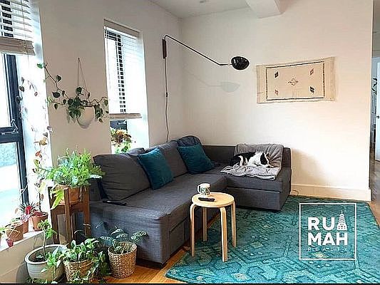 5th image of 766 Lafayette Ave APT 2