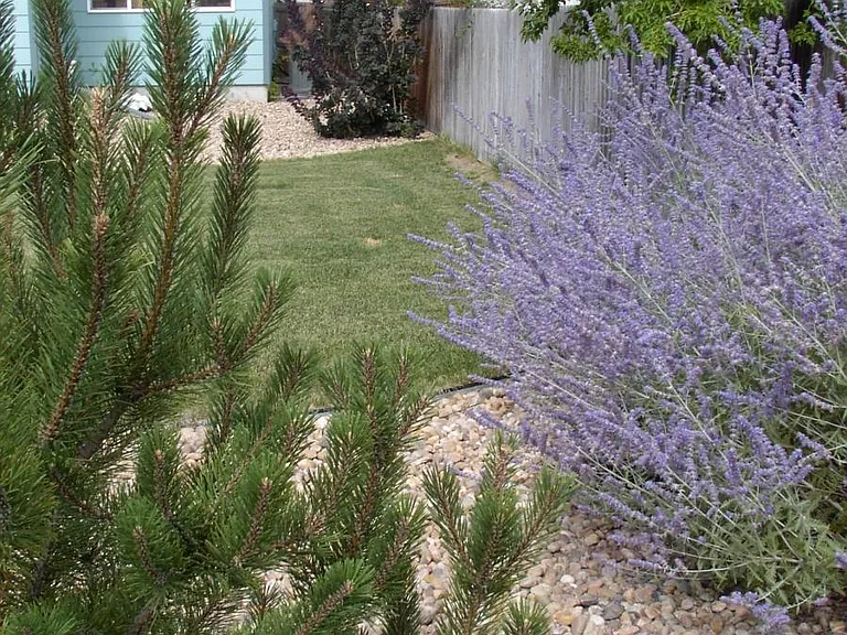 Lush Plantings