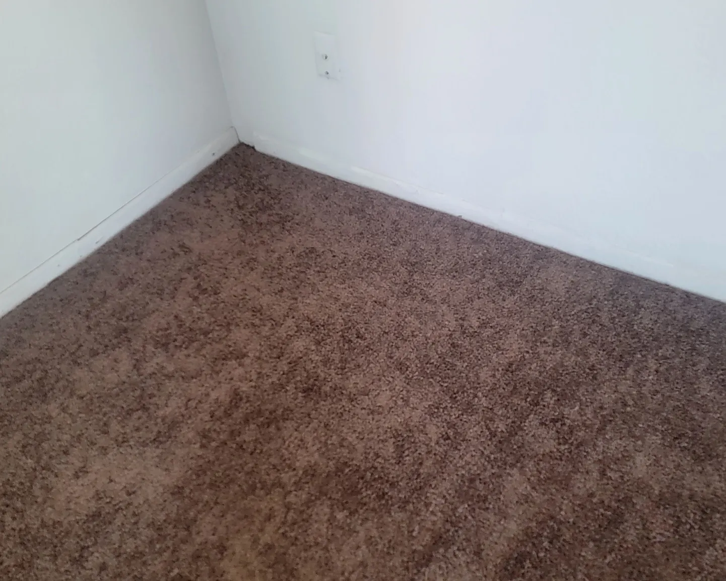2412 Olive St — Photo 2
