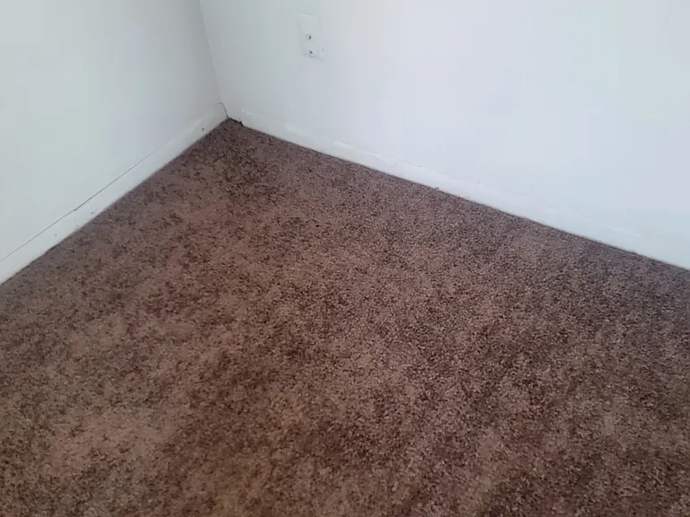 2412 Olive St #10 — Photo 2