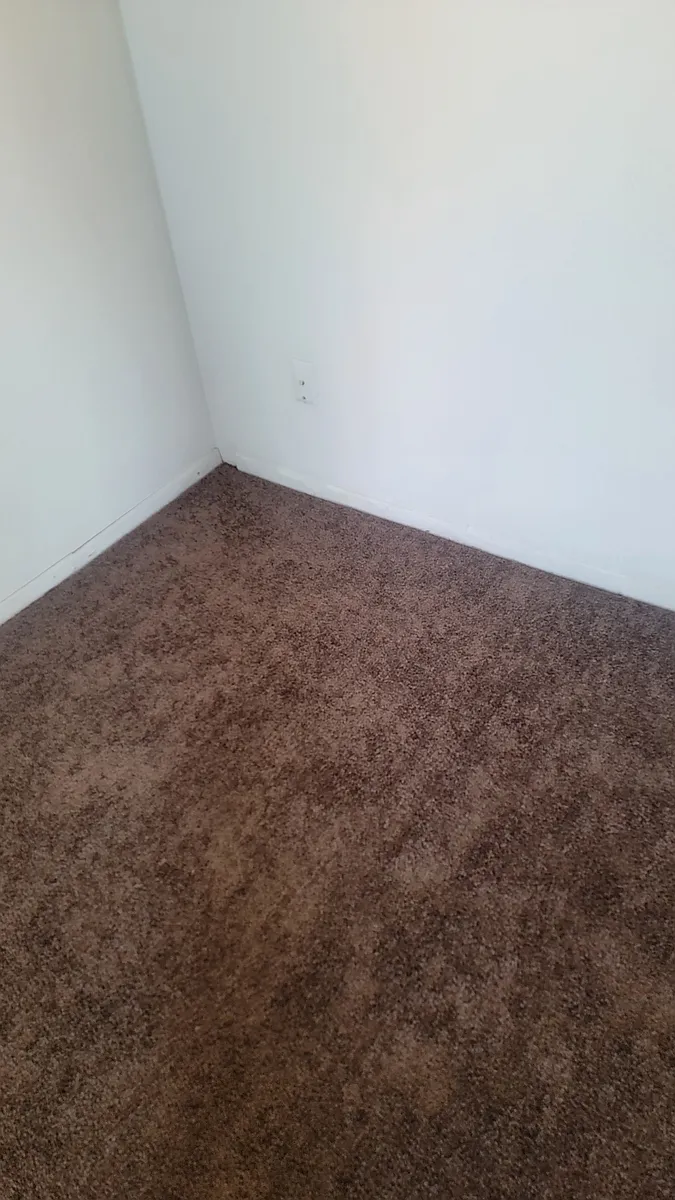 Building Photo - 2412 Olive St #10