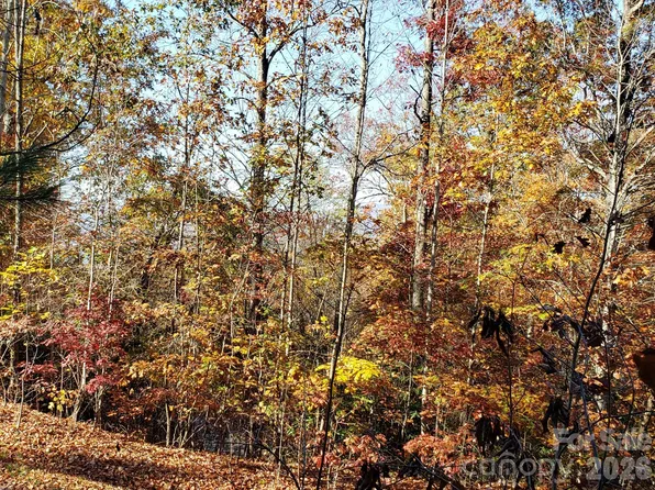 Top Oaks Ln Lot 58, Pisgah Forest, NC 28768