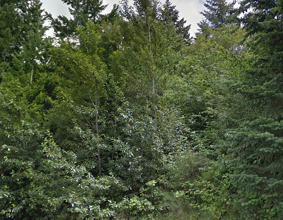 2nd image of 0 SE Lansing Ln