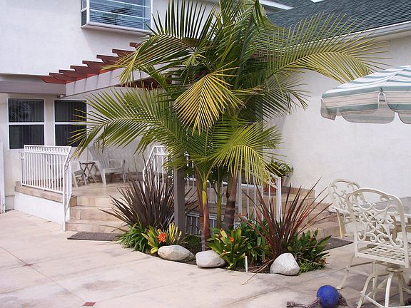 South Pergola Sitting Patio