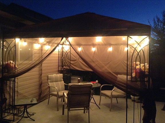 Backyard oasis