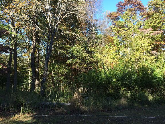5th image of Wild Rose Lane E