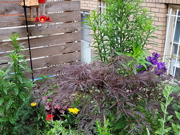 Community garden