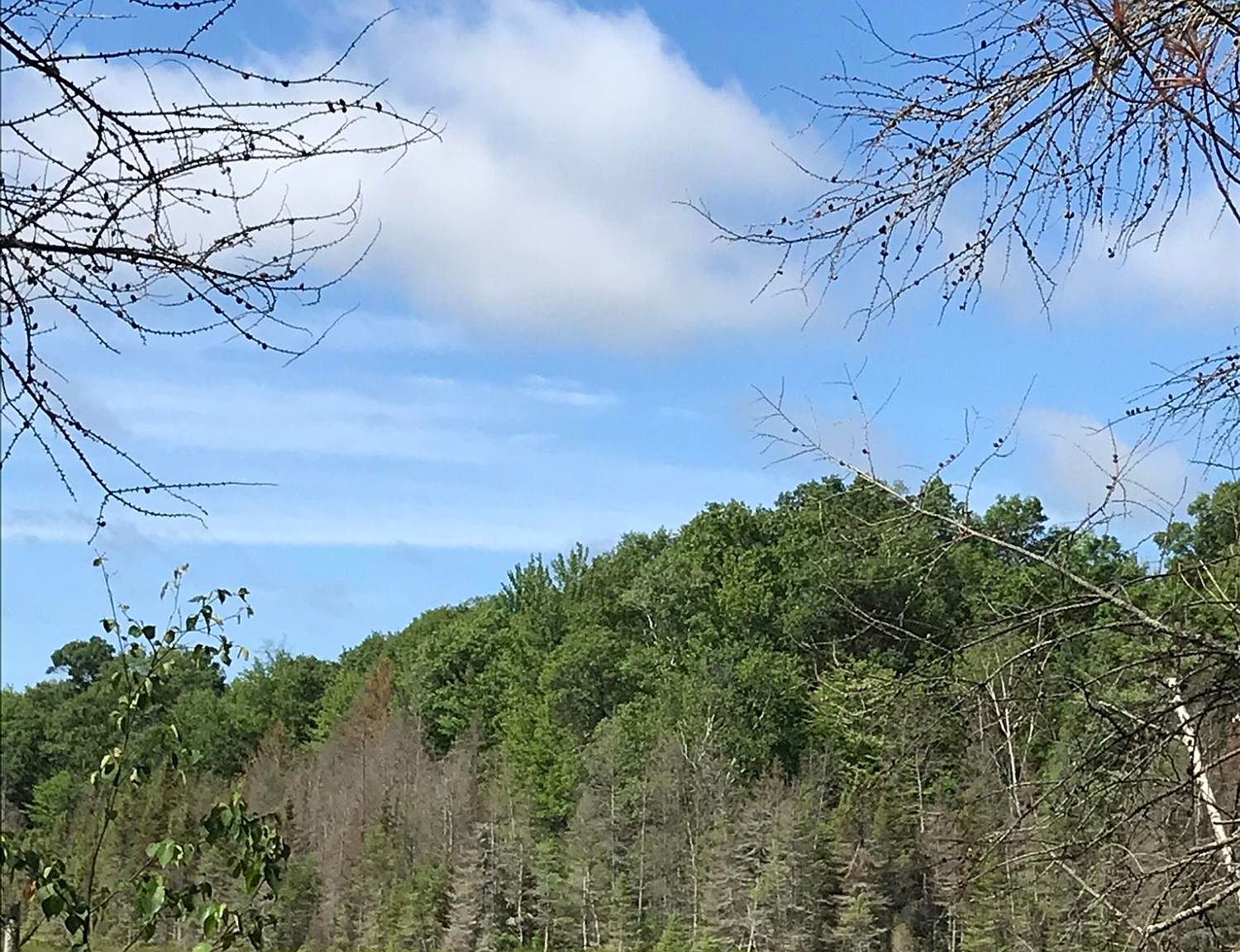 N15497 Town Corner Lake Rd, Amberg, WI 54102 Zillow