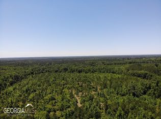 0 Harrell Loop Rd, Rhine, GA 31077