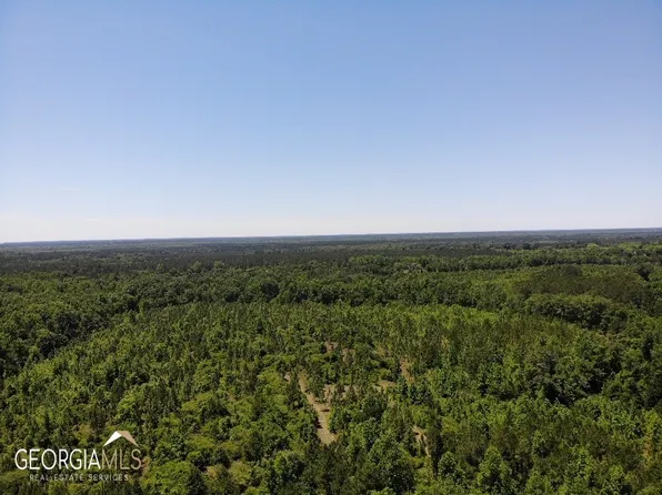 0 Harrell Loop Rd, Rhine, GA 31077