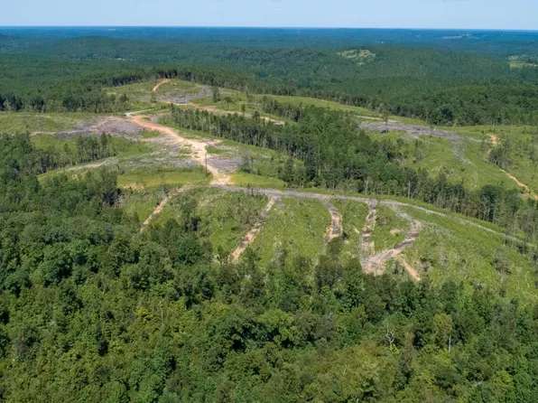 Earnest Chapel Rd, Oakman, AL 35579