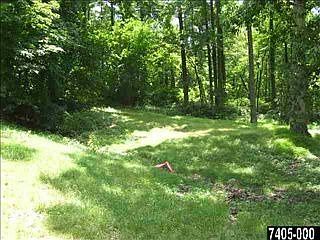 3rd image of 115 Pine Creek Ln