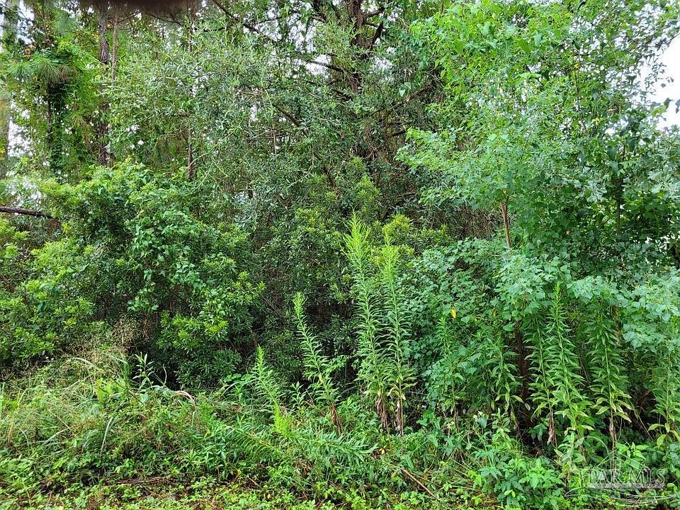 1st image of Laurel Dr