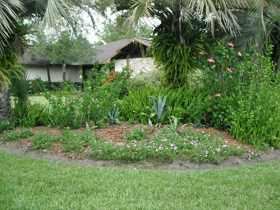 Corner Island.Palms,hibiscus