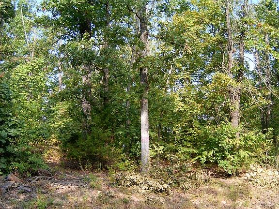 5th image of White Oak St