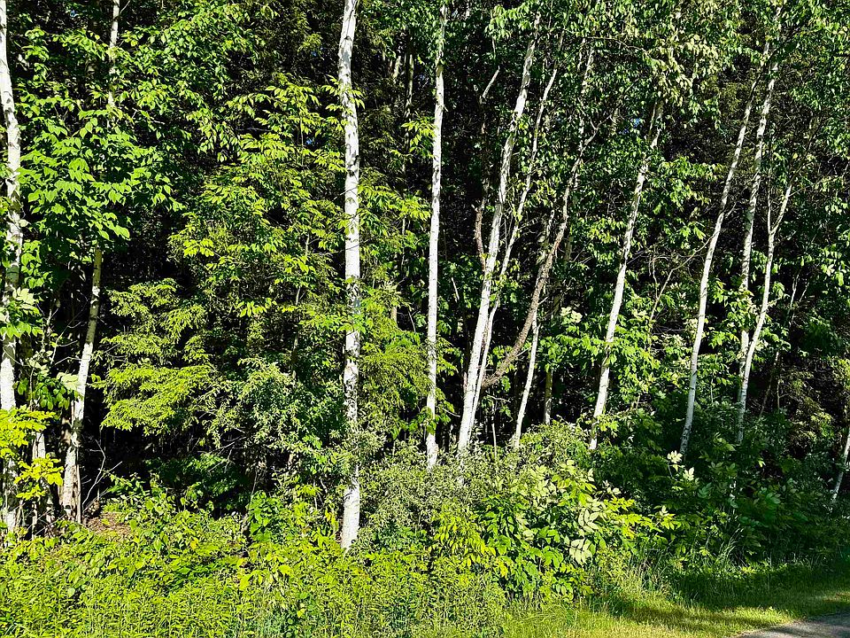 1st image of Old State Rd