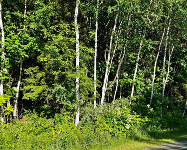 Old State Rd, Harrison, MI, 48625