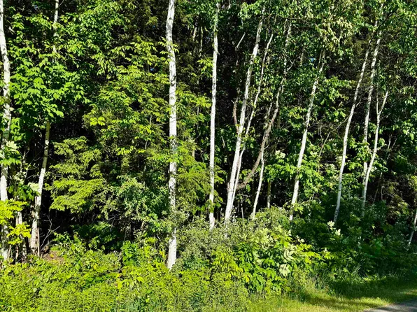 Old State Rd, Harrison, MI 48625