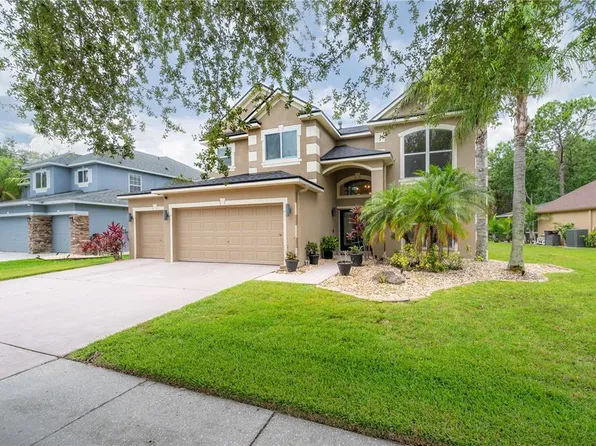 8273 Swann Hollow Dr, Tampa, FL 33647
