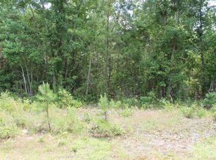 107 Bear Dr, Castle Hayne, NC 28429