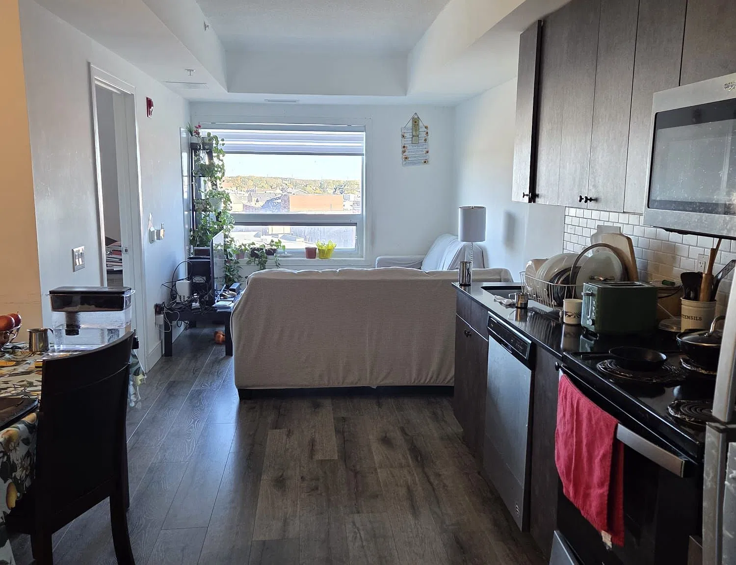 2 bed, $1,799 — Photo 3