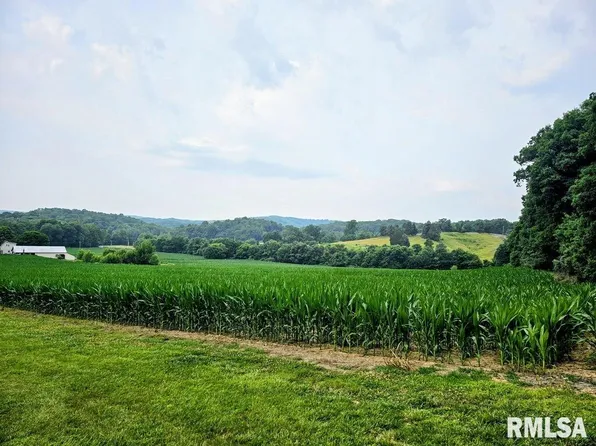 Berryville Rd, Jonesboro, IL 62952