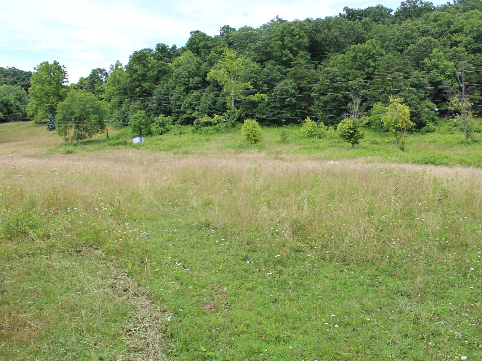 6878 Ravenswood Rd, Ravenswood, WV 26164 Zillow