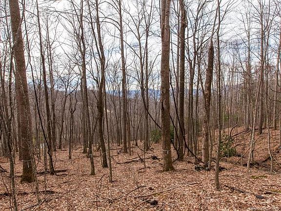 3rd image of 299 High Hickory Trl