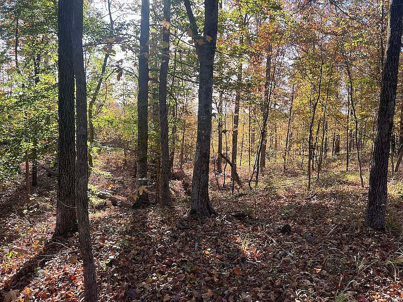 1st image of 0 Sulphur Springs Rd Lot Wp001