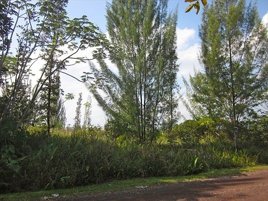 4th image of 3rd Ave Lot 1374