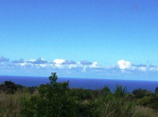LOT 19 Lot 19, Pepeekeo, HI 96783