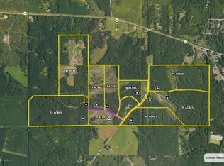 Vincetown Rd LOT WP003, Sandy Hook, MS 39478