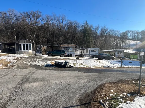 246 Albemarle Ave, Buchanan, VA 24066