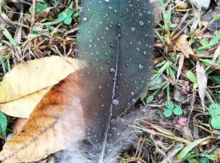 812 Colliers Bend Rd, Charlotte, TN 37036