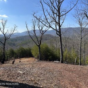 200 McLemore Rd, Tellico Plains, TN, 37385