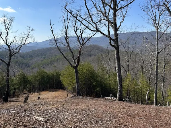 200 McLemore Rd, Tellico Plains, TN 37385