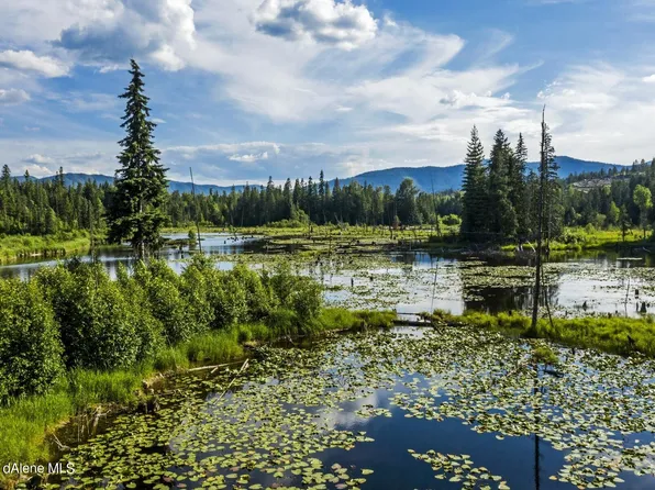 2755 Usfs 2295 Rd #2295, Clark Fork, ID 83811