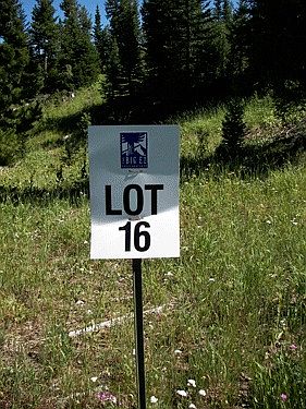 1st image of Big Ez Lot 16