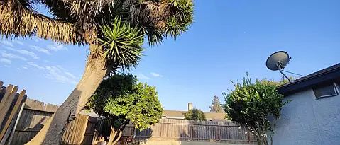 3rd image of 1002 Nita Ct