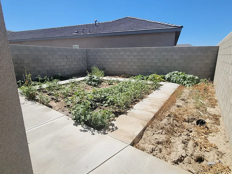 7003 Paige Elizabeth Ln — Photo 16