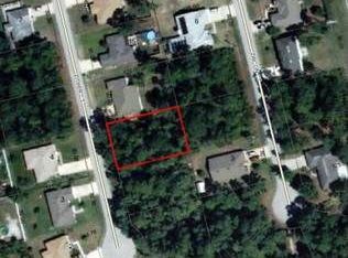 13 Zither Ct, Palm Coast, FL 32164