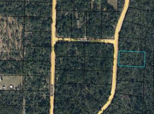 0 Fairborn Ave #110, Alford, FL 32420